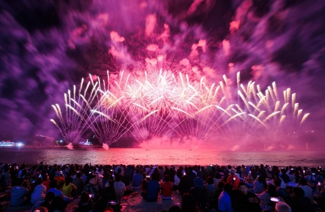 a group of people watching fireworks