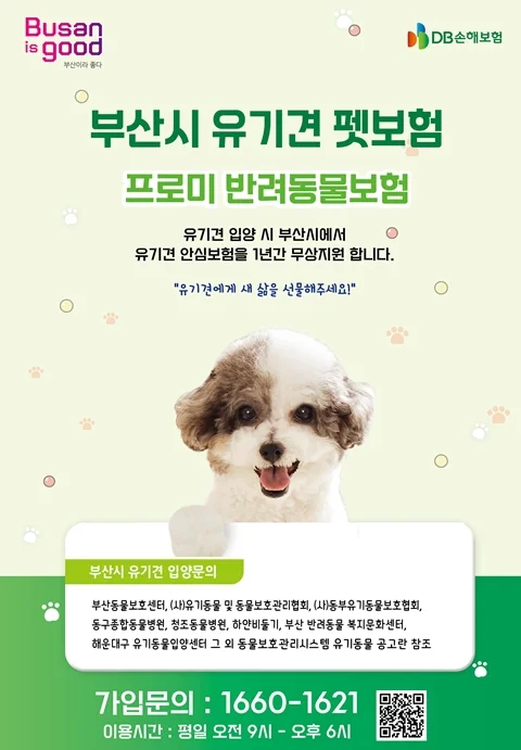 반려동물 지원금