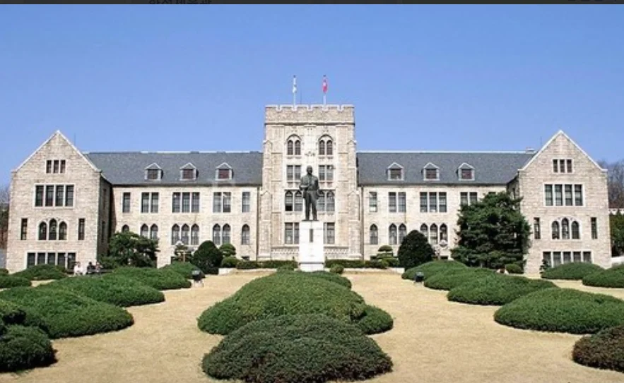 수시 경쟁률