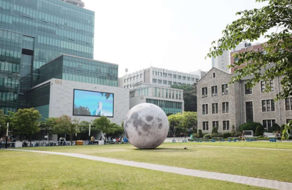 수시 경쟁률