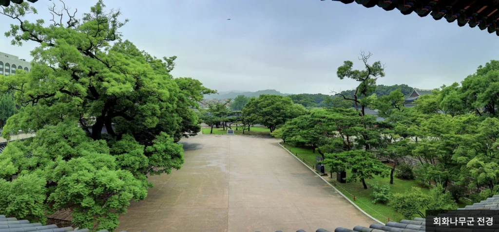 창덕궁 후원