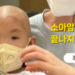 머리카락 기부