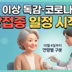 65세 이상 독감