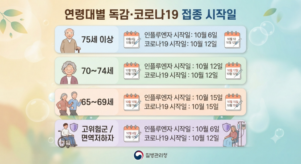 65세 이상 독감
